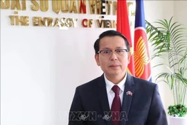 El embajador vietnamita en Nueva Zelanda, Nguyen Van Trung. (Fuente: VNA)