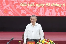 El secretario general del Partido Comunista de Vietnam (PCV), To Lam, interviene en la reunión. (Fuente: VNA)