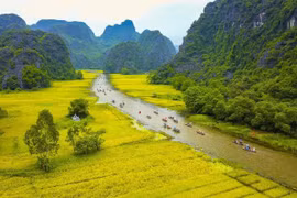 Festivales Creativos: Un Impulso para el Turismo en Vietnam 