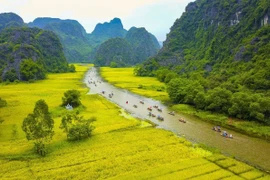 Festivales Creativos: Un Impulso para el Turismo en Vietnam 