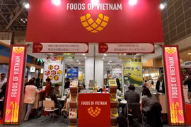 En el pabellón vietnamita (Fuente: VNA)