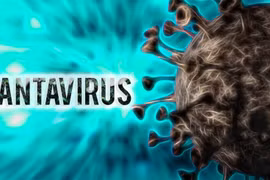 El hantavirus es un grupo peligroso de virus que pueden causar enfermedades graves en los seres humanos. (Imagen ilustrativa de tienphong.vn)