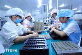 Trabajadoras en la línea de ensamblaje de componentes electrónicos en la fábrica de Bao Sen (Bac Giang). (Fuente: VNA)