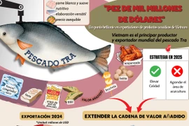 Valores especiales hacen del pescado Tra un punto brillante en las exportaciones de Vietnam