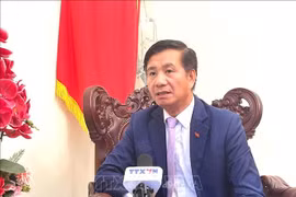 El embajador vietnamita en Malasia, Dinh Ngoc Linh. (Fuente: VNA) 
