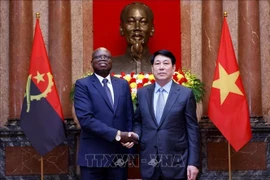 El presidente Luong Cuong recibió al embajador de Angola, Fernando Miguel, para presentar sus cartas credenciales y asumir sus funciones en Vietnam (24 de abril de 2025). (Fuente: VNA)