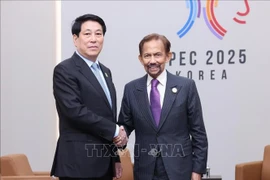 El presidente de Vietnam, Luong Cuong, y el sultán de Brunéi, Haji Hassanal Bolkiah en el marco del APEC. (Fuente: VNA)