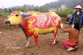 Atractivo concurso de pintura corporal de búfalos en Vietnam