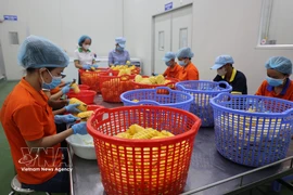 Procesamiento de frutas para la producción de jugos en la Compañía de Bebidas Wana (Parque Industrial Chau Duc, Ba Ria–Vung Tau). Foto: VNA