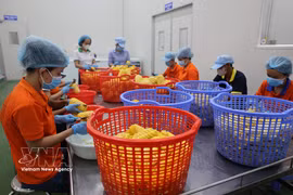 Procesamiento de frutas para la producción de jugos en la Compañía de Bebidas Wana (Parque Industrial Chau Duc, Ba Ria–Vung Tau). Foto: VNA