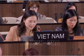 La embajadora Nguyen Thi Van Anh, Jefa de la Delegación Permanente de Vietnam ante la UNESCO, pronunció un discurso para presentar la iniciativa en la 222.ª sesión del Consejo Ejecutivo de la UNESCO. Foto: VNA