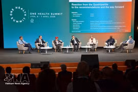 Un taller en la Cumbre One Health, celebrada en Lyon, Francia, del 5 al 7 de abril de 2026. (Foto: VNA)