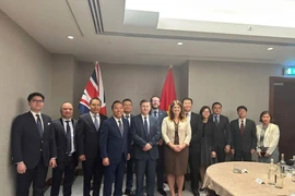 El viceministro Nguyen Hoang Long, el ministro de Estado Douglas Alexander y representantes de ministerios y embajadas de ambos países posan para una foto de grupo en la 14.ª reunión de JETCO. (Foto: VNA)