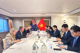 En una reunión celebrada hoy entre el ministro vietnamita de Industria y Comercio, Le Manh Hung, y su homólogo neozelandés de Comercio e Inversión, Todd McClay. (Fuente: VNA)