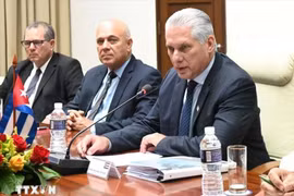 El presidente de Cuba, Miguel Díaz-Canel, afirmó que la relación Vietnam-Cuba es un modelo único en el mundo. (Foto: VNA)