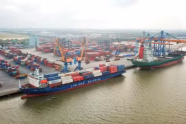 Carga y descarga de mercancías en contenedores en un puerto marítimo de VIMC. (Foto: PV/Vietnam+)