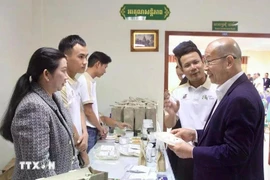 Representantes de Vietnam y Camboya se reunieron en el marco del taller celebrado el 20 de junio en Phnom Penh. (Foto: VNA)