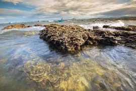 El hermoso ecosistema coralino natural de Hon Yen, provincia de Phu Yen. (Foto: VNA)