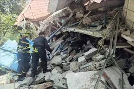 Rescatistas del Ministerio de Seguridad Pública de Vietnam utilizan perros rastreadores para buscar víctimas en un edificio en la ciudad de Zabuthari, Naypyidaw, capital de Myanmar. (Foto: VNA)