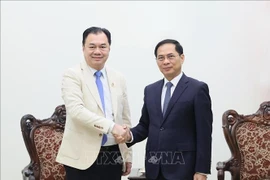 El viceprimer ministro vietnamita Bui Thanh Son recibe a Kounlaphanh Vongnathy, vicepresidente del Grupo Phongsupthavy. (Foto: VNA)