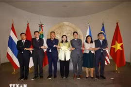 Los embajadores de la ASEAN en México se toman una foto grupal con la subsecretaria de Relaciones Exteriores de México, María Teresa Mercado. (Foto: VNA)