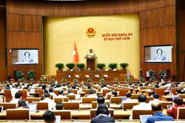 Legisladores en la segunda fase del noveno período de sesiones de la Asamblea Nacional de Vietnam de la XV Legislatura. (Foto: VNA)