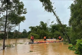 Las fuerzas de rescate trabajan con urgencia para evacuar a 270 estudiantes atrapados en el internado étnico de Na Ri. (Foto publicada por VNA)