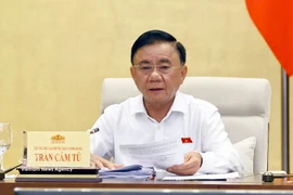 El miembro del Buró Político y miembro permanente del Secretariado del Comité Central del Partido Comunista de Vietnam (PCV), Tran Cam Tu. (Fuente: VNA)