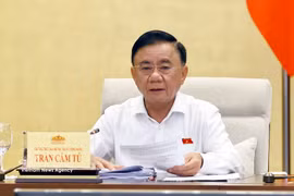 El miembro del Buró Político y miembro permanente del Secretariado del Comité Central del Partido Comunista de Vietnam (PCV), Tran Cam Tu. (Fuente: VNA)