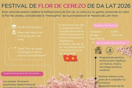 Festival de flor de cerezo de Da Lat 2026