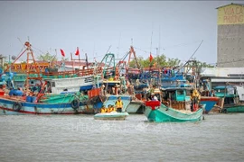 Las autoridades visitaron cada buque pesquero para concienciar a la comunidad pesquera sobre la necesidad de retirar la tarjeta amarilla de pesca ilegal. (Fuente: VNA)