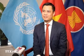 El embajador Dang Hoang Giang, jefe de la misión permanente de la nación indochina ante la Organización de las Naciones Unidas. (Fuente: VNA)
