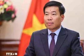 El viceministro de Relaciones Exteriores de Vietnam, Nguyen Manh Cuong. (Fuente: VNA)