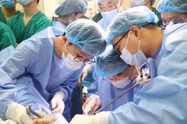 Los médicos realizaron una demostración quirúrgica en vivo. (Fuente: VNA)