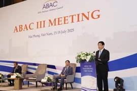 El presidente Luong Cuong interviene en la tercera reunión del Consejo Asesor Empresarial de la APEC. (Foto: VNA)