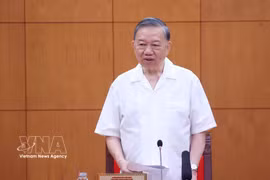 El secretario general del Partido Comunista de Vietnam y presidente del país, To Lam, interviene en la reunión. (Fuente: VNA)
