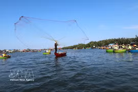 Aldea cocotera de Cam Thanh cautiva a los visitantes con la experiencia de los botes cesta