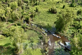 La base de datos forestales se completará a finales de este año, adaptándose al Reglamento de Deforestación de la UE (Foto: VNA)