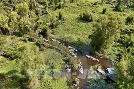 La base de datos forestales se completará a finales de este año, adaptándose al Reglamento de Deforestación de la UE (Foto: VNA)
