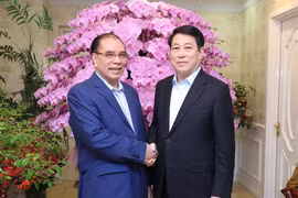 Presidente vietnamita felicita al exsecretario general del Partido Nong Duc Manh por el Tet