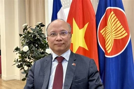 El embajador vietnamita en Francia, Dinh Toan Thang (Fuente: VNA)