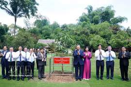 El secretario general del Partido Comunista de Vietnam y presidente del país, To Lam, y su esposa plantan un árbol conmemorativo en los terrenos del Monumento a Ho Chi Minh en la provincia de Udon Thani (Tailandia). (Foto: VNA)