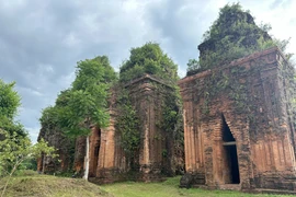 Da Nang: Despertan el potencial turístico de las torres Cham de mil años de antigüedad