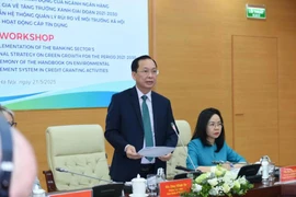 Dao Minh Tu, vicegobernador del SBV, durante su intervención en el foro (Foto: Vietnam+)