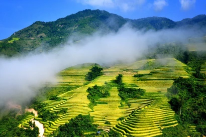 Participar en los World Trail Majors es una excelente opción para que los atletas exploren las majestuosas montañas y bosques que rodean SaPa. (Fuente: VNA)