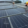 Las fuentes de recursos humanos de ESG en Vietnam sigue siendo limitadas tanto en cantidad como en calidad. (Foto: VNA)