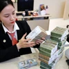 Bancos están implementando diversas soluciones crediticias para apoyar a las empresas. (Foto: VNA)