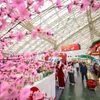Feria de Primavera atrae a más de 32 mil visitantes. (Fuente: VTCNews)