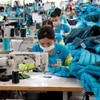Sector textil se adapta a las fluctuaciones del mercado