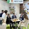 La Embajada de Vietnam en Italia participó en la 41ª Feria agrícola Macfrut, celebrada en Rimini, región de Emilia-Romagna (Italia). (Fuente: VNA)